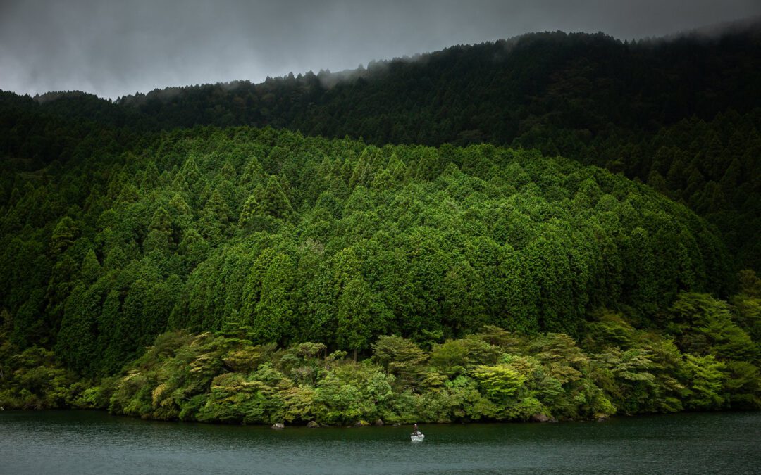 JAPON