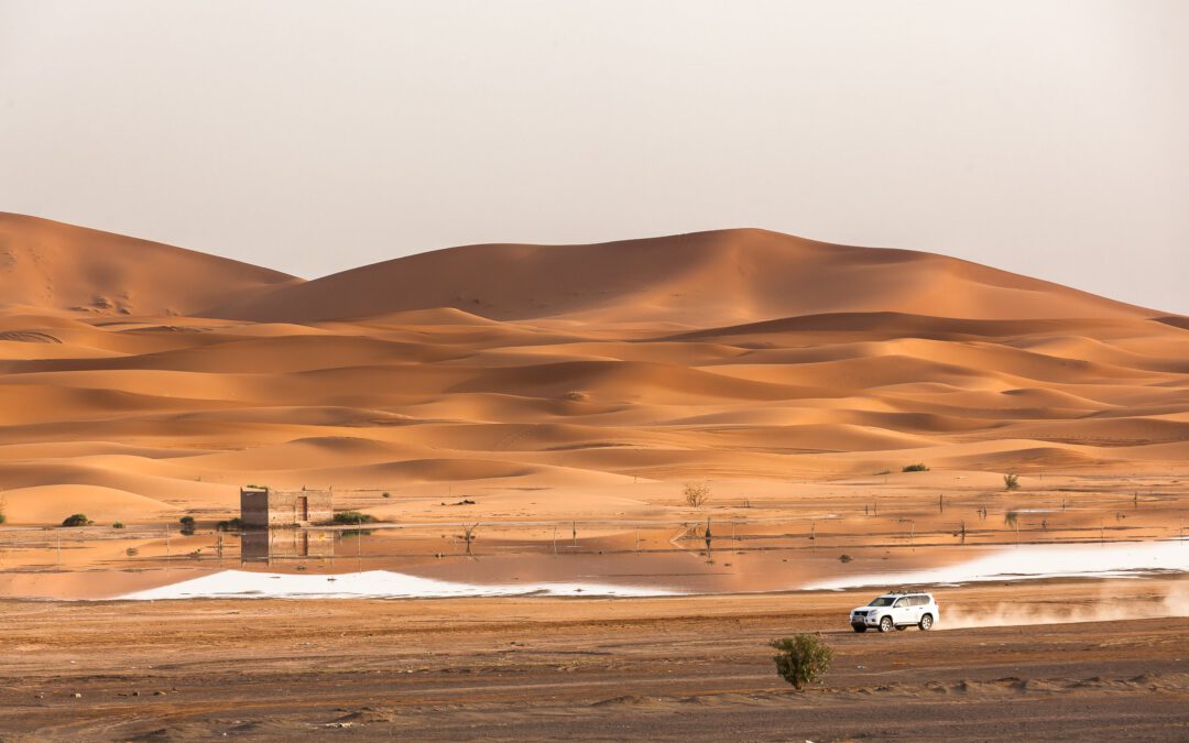 MAROC